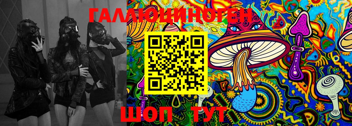 Псилоцибиновые грибы Psilocybine cubensis  Вход с VPN  Качканар 